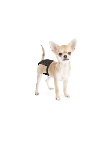 Hygienic dog pants with adjustable elastic band - Record