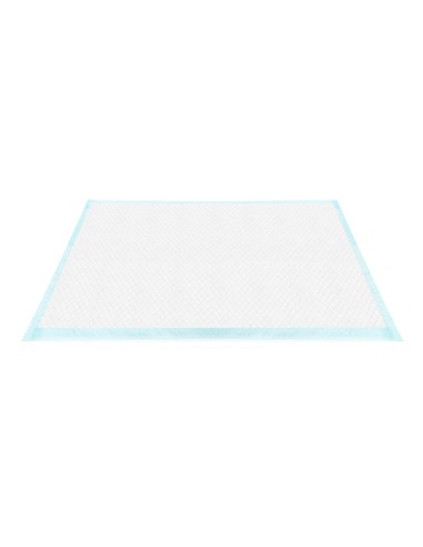 Tapiss tappetini assorbenti 60 x 60 cm - Record