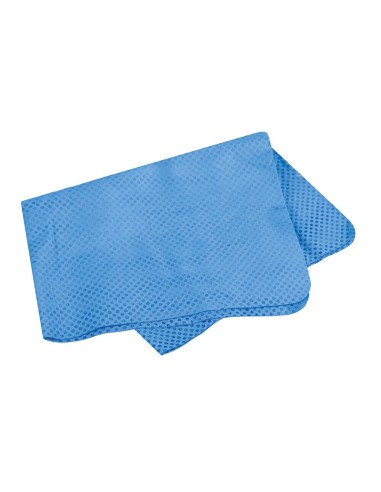 Panno multiuso assorbente Dry Dog - Record