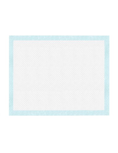 Tapiss tappetini assorbenti 60 x 90 cm - Record