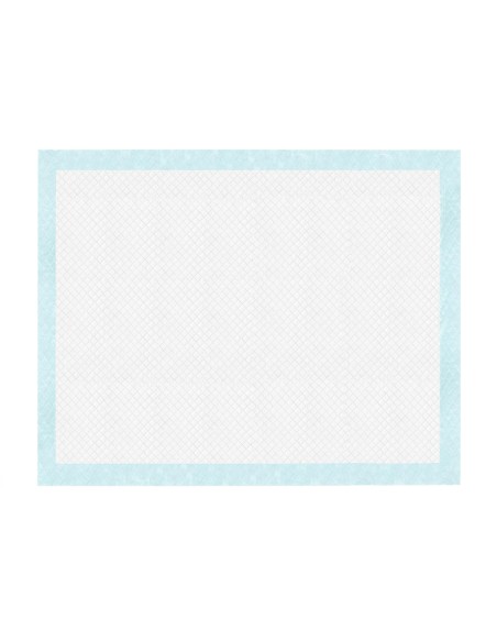 Tapiss tappetini assorbenti 60 x 90 cm - Record