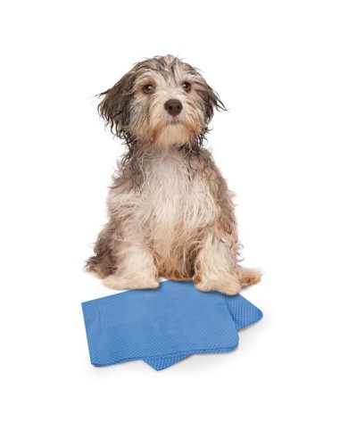 Panno multiuso assorbente Dry Dog - Record