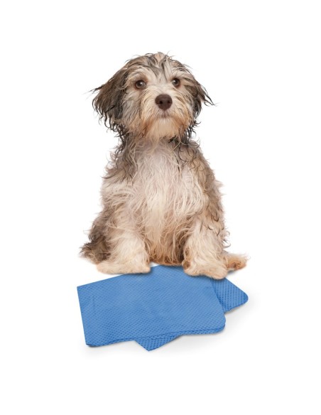 Panno multiuso assorbente Dry Dog - Record