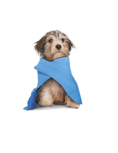 "Dry dog" multipurpose absorbent cloth - Record