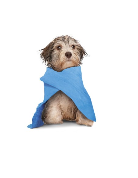 "Dry dog" multipurpose absorbent cloth - Record