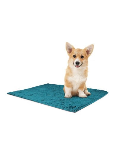 Absorbent mat - Record