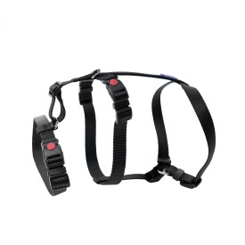 Safety dog harness - Record