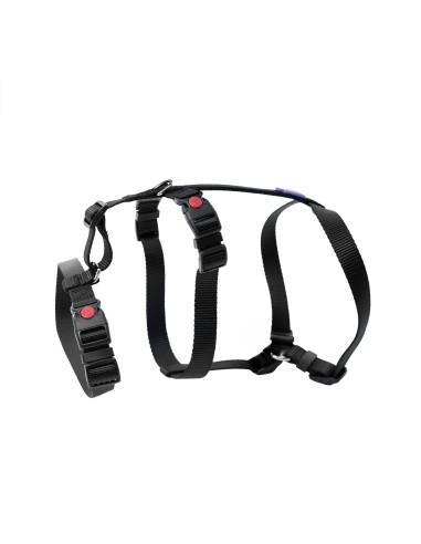 Safety dog harness - Record