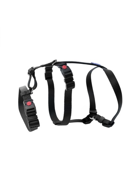 Safety dog harness - Record