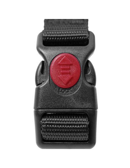 Safety dog harness - Record
