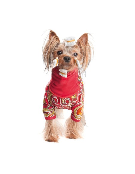 Dog wrapping paper - Record