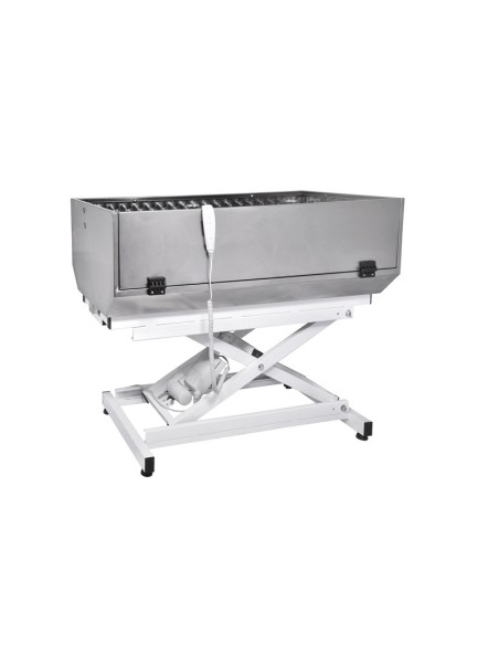 Stainless steel bath with electric base - Record