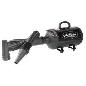 Windy Hair dryer blower - Record