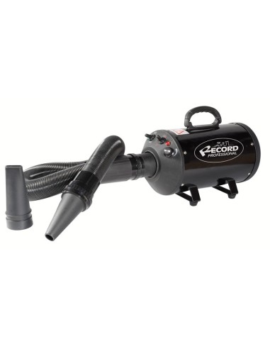 Windy Hair dryer blower - Record