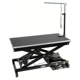 Electric pantograph table - Record