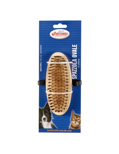 Oval palm brush with brass bristle - Record