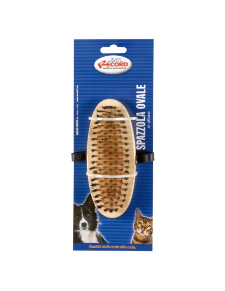 Spazzola da palmo setole in ottone - Record