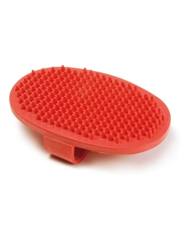 Spazzola da palmo in gomma - Record