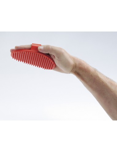 Spazzola da palmo in gomma - Record