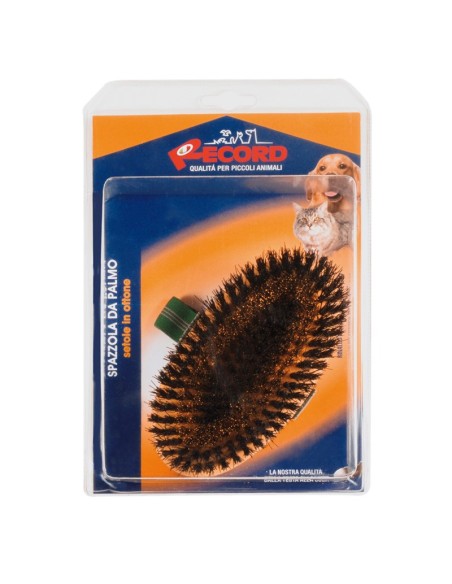 Spazzola da palmo setole in ottone e fibra al bordo - Record