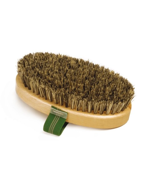 Palm brush with gray bristle - Record