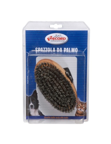 Palm brush with gray bristle - Record