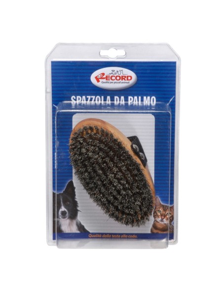 Spazzola da palmo con setole grigie - Record