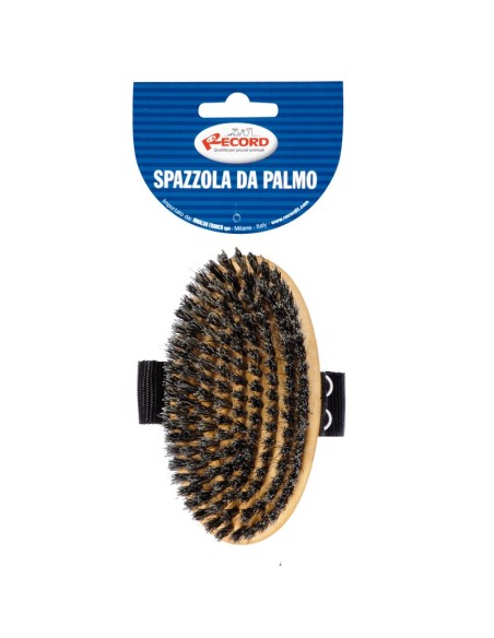 Palm brush with gray bristle - Record