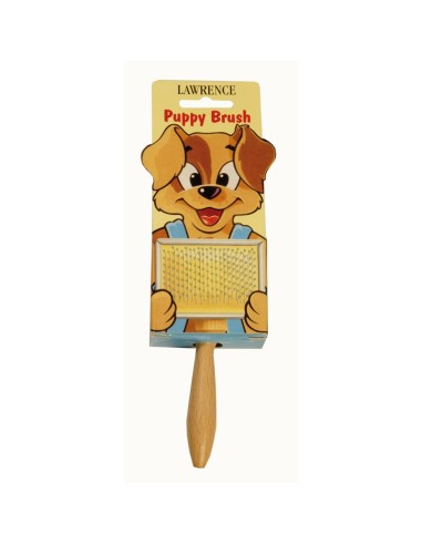 Slicker brush for grooming dog puppies - Record