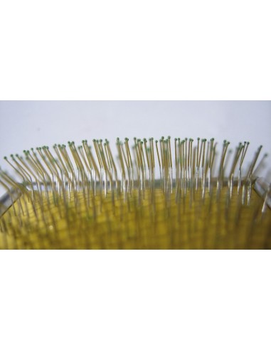 Cardatore per cuccioli di cane - Record