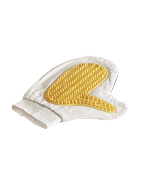 Glove brush with latex palm - Record