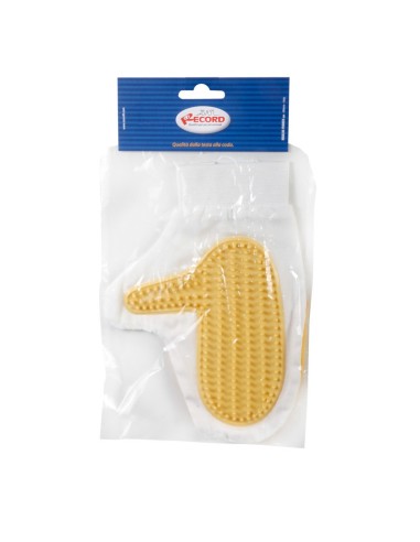 Glove brush with latex palm - Record