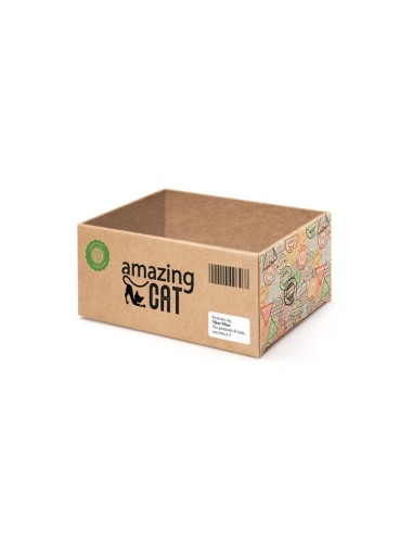 Box cardboard cat scratcher - Record