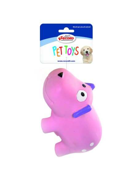 Gioco in lattice per cani Rainbow Farm Display 24 pcs - Record