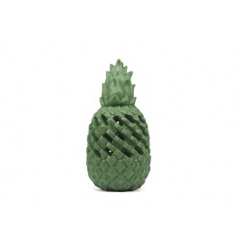 Pineapple Power dog toy made of natural rubber with plastic bottle inside - Record