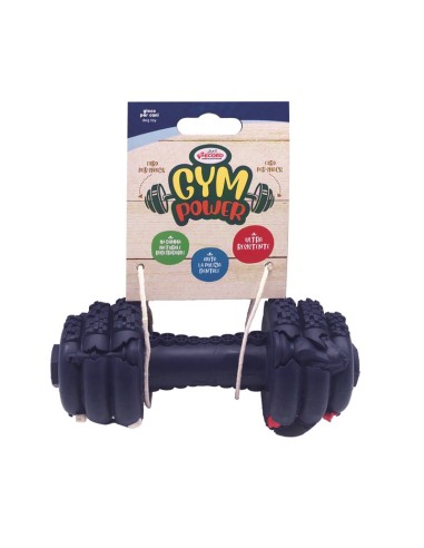 Gym power dog toy made of natural rubber - Record