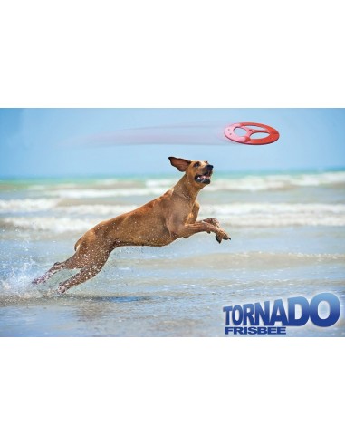 Tornado dog frisbee - Record