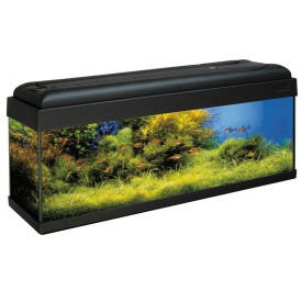 Acquario Mondolife completo 117 litri - Acquafriend