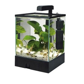 Acquario Acquabox 6 litri nero - Acquafriend