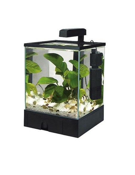 Aquabox aquarium 6 liters black - Acquafriend