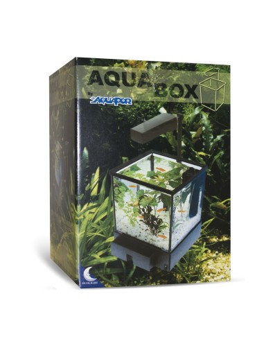 Aquabox aquarium 6 liters black - Acquafriend