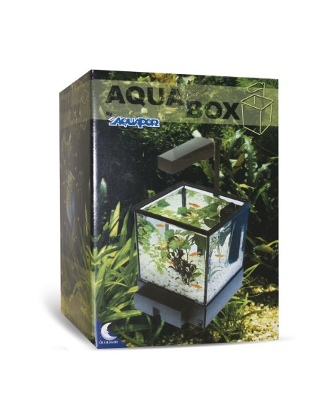 Aquabox aquarium 6 liters black - Acquafriend