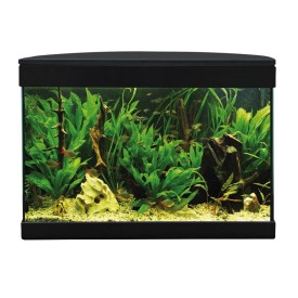 Acquario Top Vision 43 21 litri nero - Acquafriend