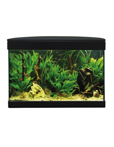 Aquarium Top Vision 43 21 liters black - Acquafriend