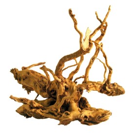 Desert root for aquaria - Acquafriend