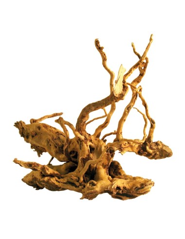 Desert root for aquaria - Acquafriend