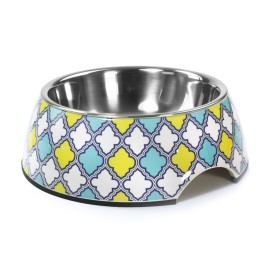 Maiolica steel dog bowl - Record