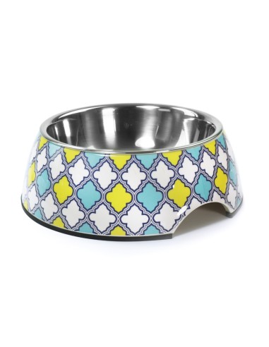 Maiolica steel dog bowl - Record