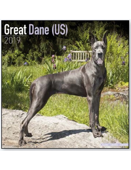 Calendari con cani da guardia e da difesa - Record