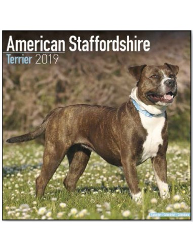 Calendars with guard and defence dogs - Record